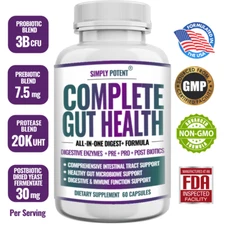 Gut Health Supplement - Support Digestive Balance & Wellness | 60 Capsules