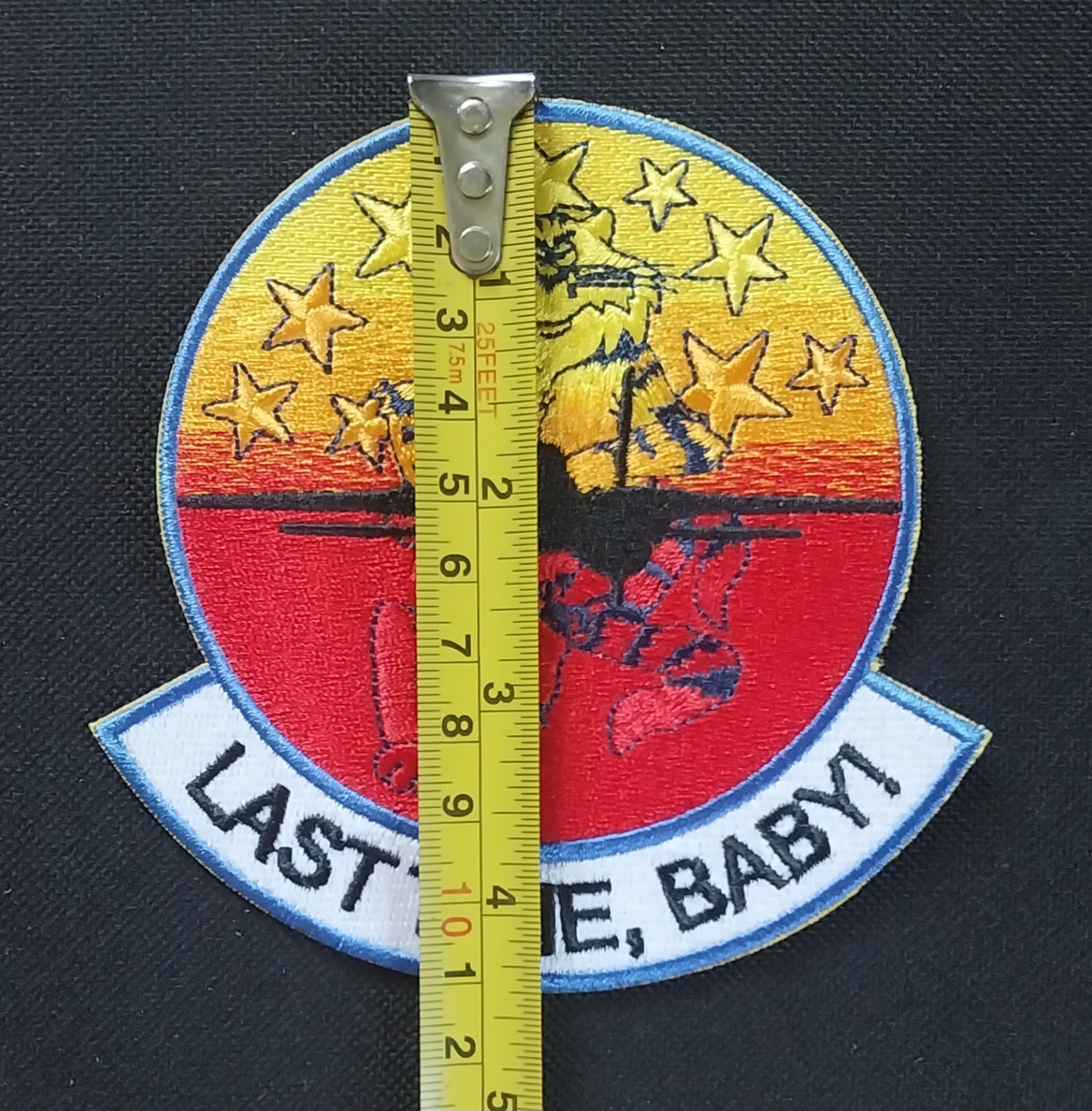 LAST TIME, BABY! US Navy F-14 FIGHTER JET NAVY TOMCAT Military Patch