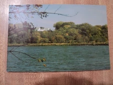 Long Lake MN Minnesota view of Spring Hill Center vintage Postcard