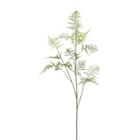 Kunstpflanze Asparaguszweig, Farbe GrüN, HöHe Ca. 132 Cm