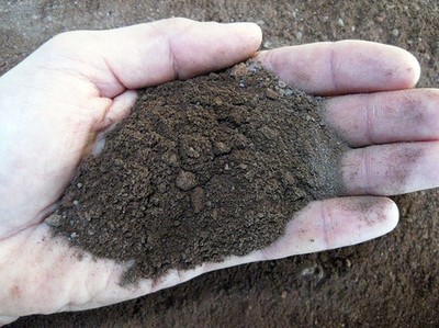 Vulkanische lapillus in zand, vulkanische lava 0/3 mm (10 kg - 10 lt)
