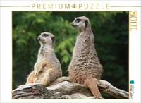 Calvendo Puzzle Two Small Sentries | 1000 Pieces, Finished Size 25.2 × 18.9 In (