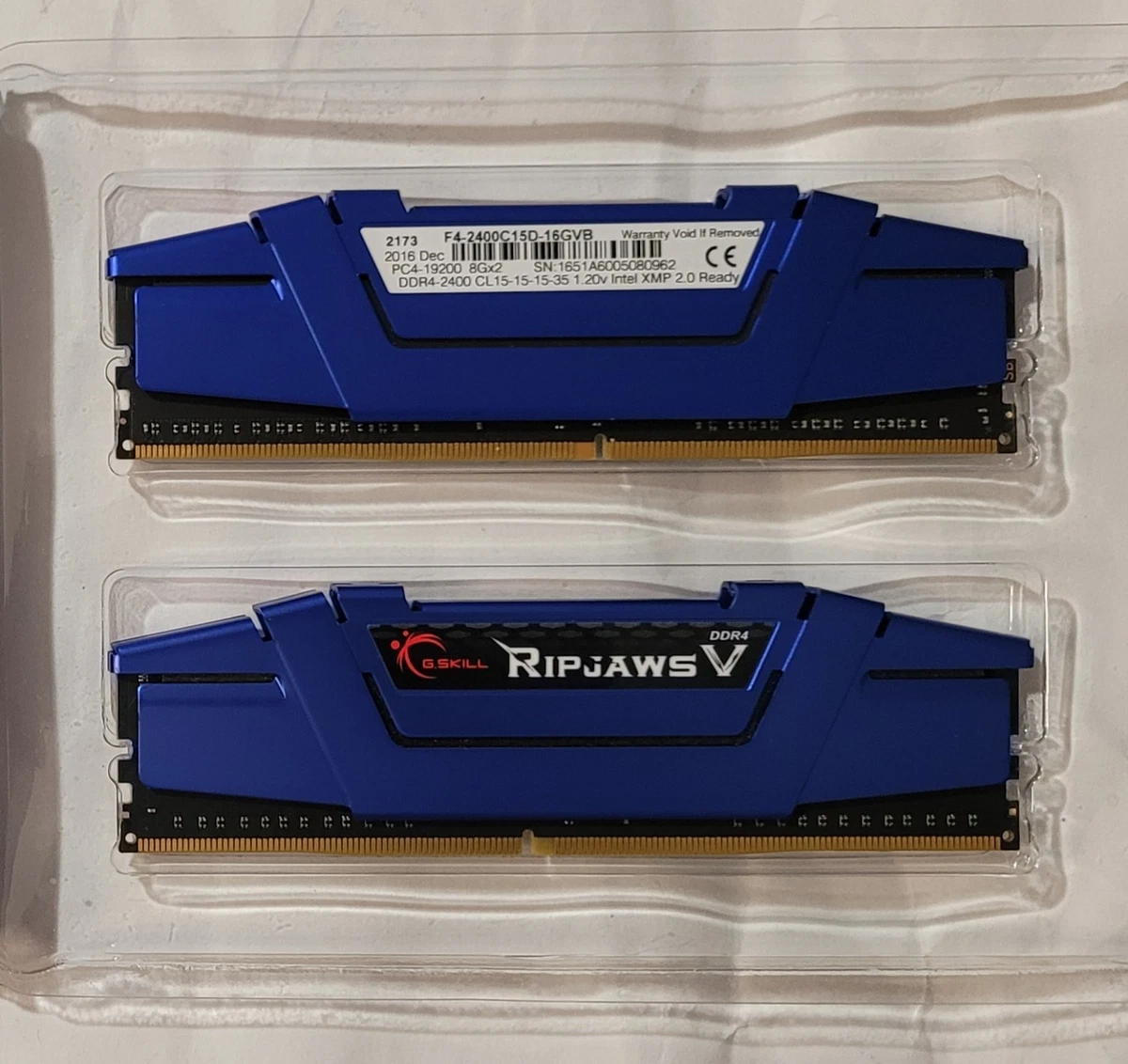 G. SKILL PC4-19200 (DDR4-2400) Bus Speed DIMM Computer Memory (RAM