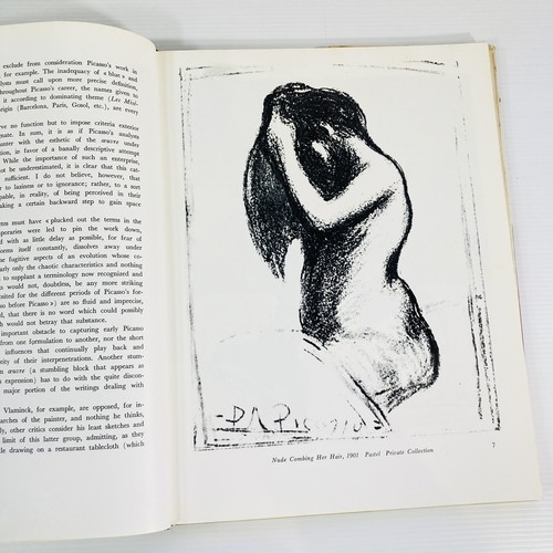 Picasso: The Blue and Rose Periods, Chevalier, Denys HC with DJ - Picture 9 of 16