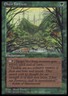 Magic the Gathering MTG Elven Fortress (65c) Fallen Empires   NM