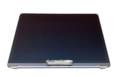 Apple 12 in Screen Laptop Screens & LCD Panels for sale | eBay
