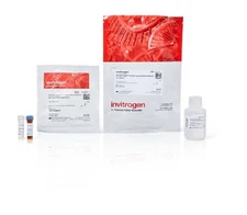 Thermo Scientific NanoOrange™ Protein Quantitation Kit