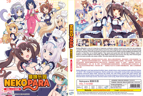 DVD ANIME NEKOPARA COMPLETE TV SERIES VOL.1-12 END *ENGLISH DUBBED* REGION ALL - Picture 3 of 5