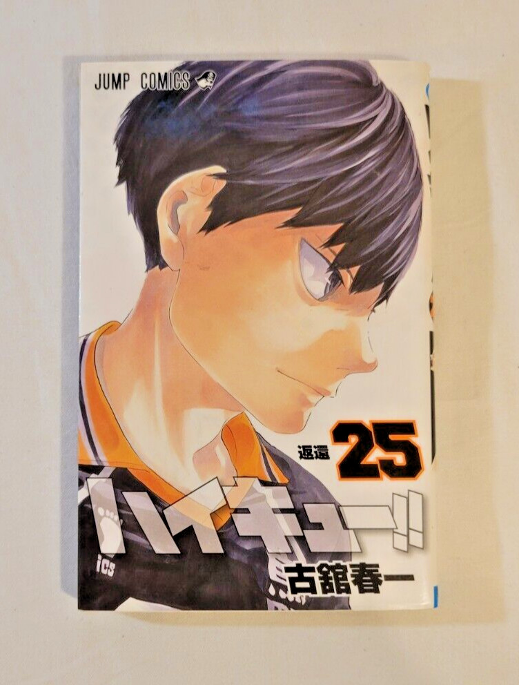 HAIKYU!! Haruichi Furudate Shueisha Comics Manga Anime in Japanese (Vol. 25)