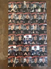 2008 WASHINGTON WILDTHINGS  TEAM SET COMPLETE NEW INDEPENDENT - Uncut Sheet RARE