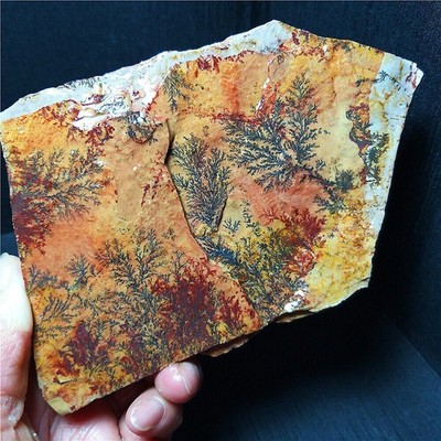 RARE 513.3g Natural polishing Grass flower Agate Stone Flat Healing Aa3731