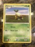 Pokémon TCG Turtwig Basic Card Majestic Dawn