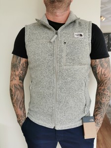 the north face men's gordon lyons vest