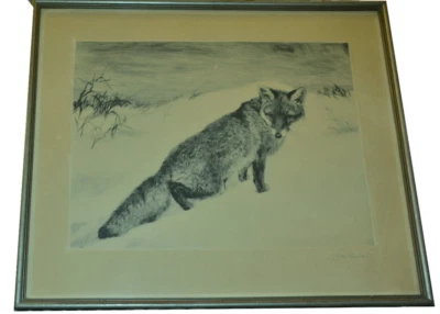 Grafik, Meyer-Eberhardt, Fuchs, Kaltnadelfarbradierungen, gerahmt - Bild 1 von 4