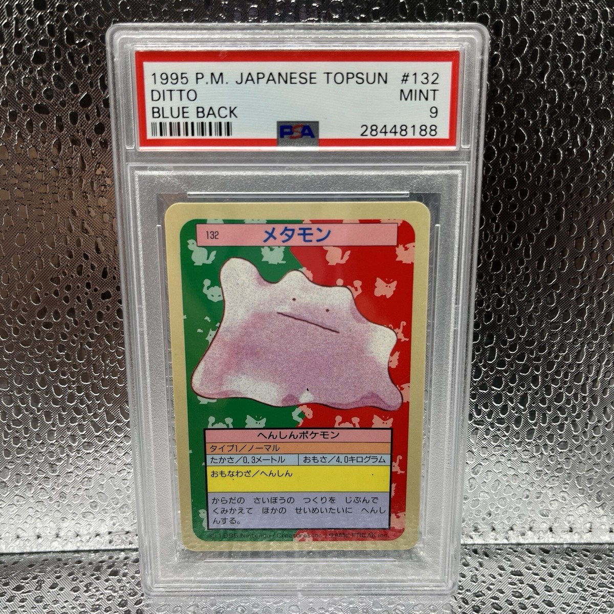 K-POP・アジア ditto Ditto Korean Promo Sealed 173/SV-P Korean Exclusive Pokemon