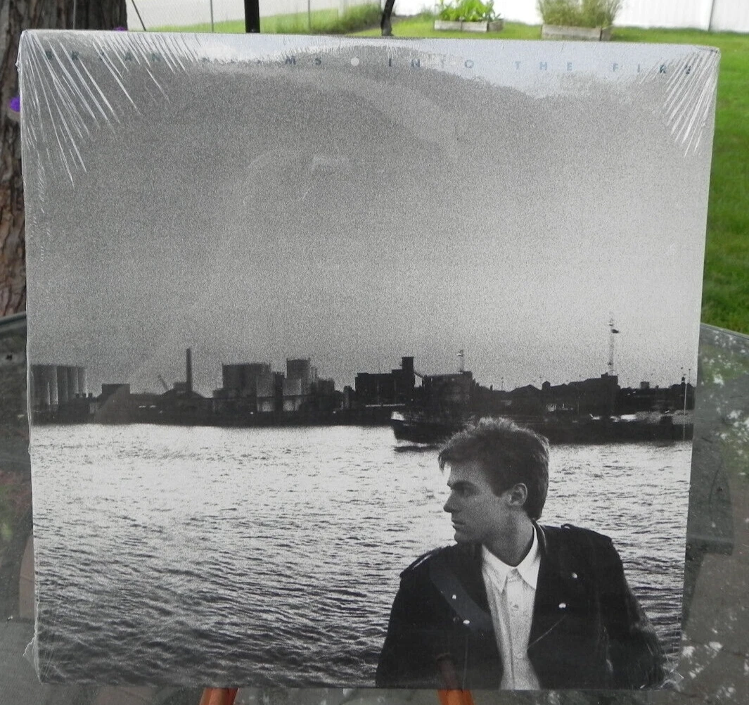 Preços baixos em Bryan Adams perfeito (M) Discos de vinil LP de