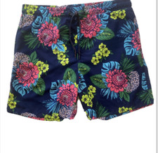 surf society swimwear