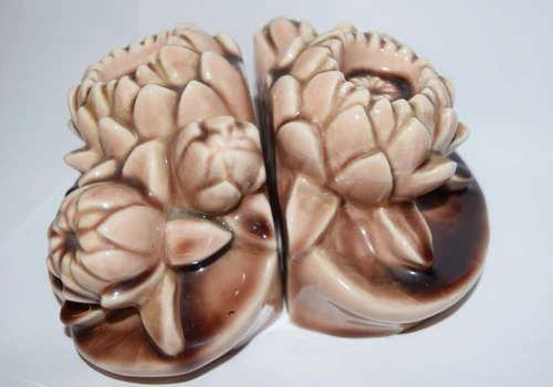 PAIR (2) Bookends Rookwood Pottery Cactus Blooms Brown Glossy #2836 1964