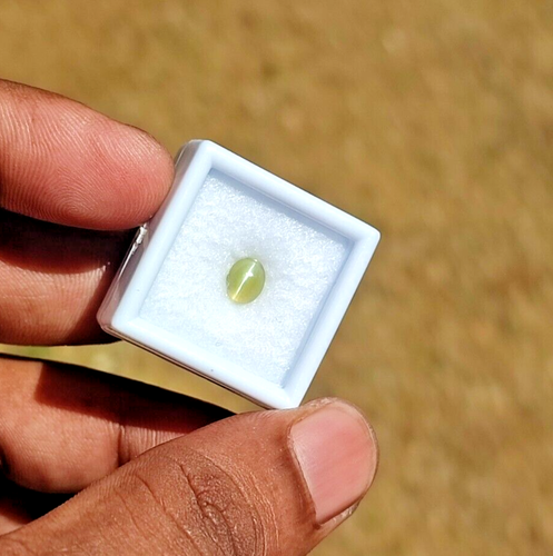 1ct Natural Sri Lankan Chrysoberyl Cat's Eye - Golden Yellow Oval Gemstone