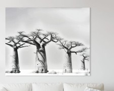 Pencil Art Of Baobab Trees In Africa Black And White Wall Instant Home Dcor