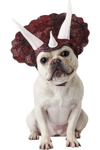 Triceradog Dog Costume Halloween Headpiece Horns Chin Strap PET20167 SIZE:M