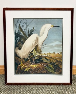 Snowy Heron by John James Audubon Art Print w/ Wooden Frame