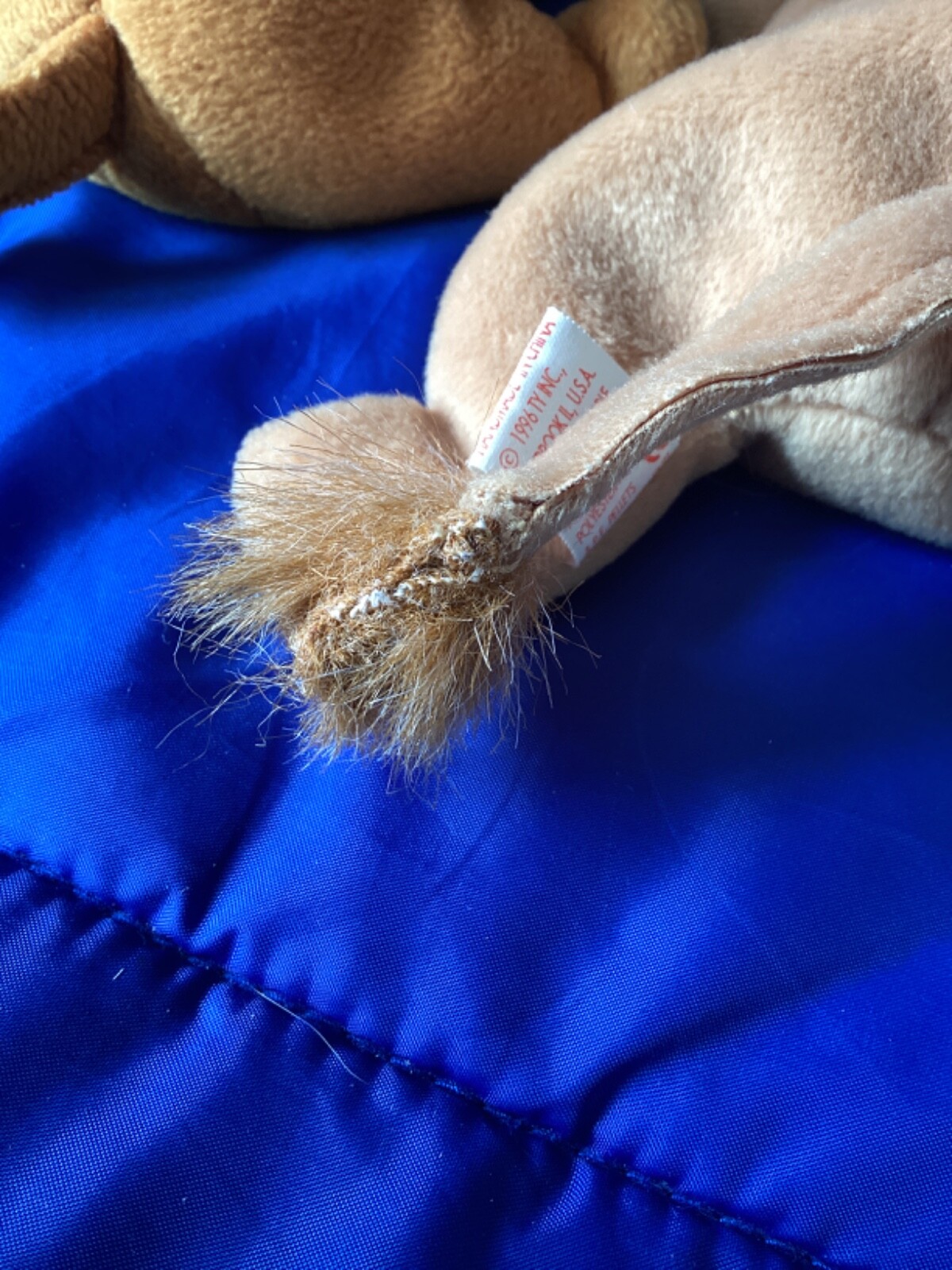 Picture 5 of 15