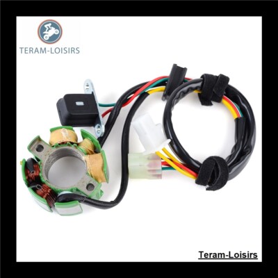 TERAM LOISIRS Stator Allumage Compatible Pour KTM 125 EXC/SIX