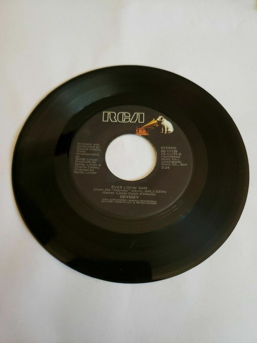  Odyssey レコード 1977 - Odyssey - Native New Yorker - RCA (45RPM 7” Single)(J353