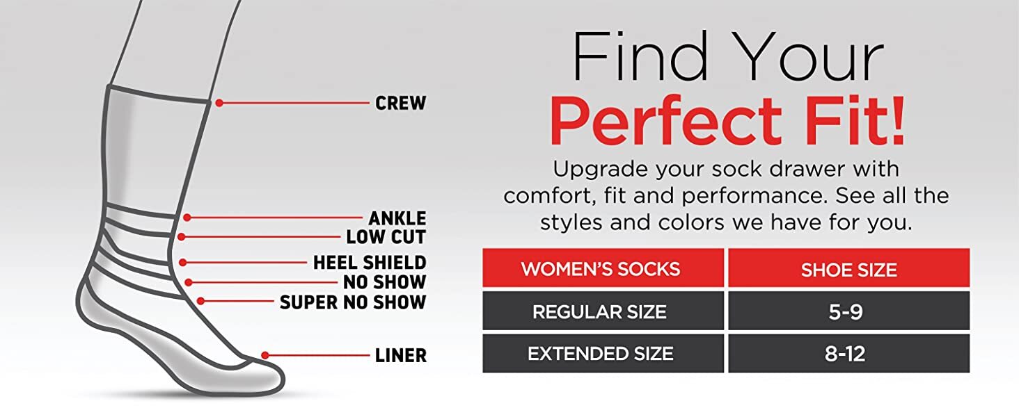 Hanes Cushioned Women's Ankle Athletic Socks 10Pack eBay