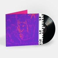 Dehd - Poetry - Vinyl Record - G3Z