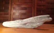 Beautiful 18" DRIFTWOOD Piece Art Terrarium Taxidermy Aquarium Beach Wood DECOR