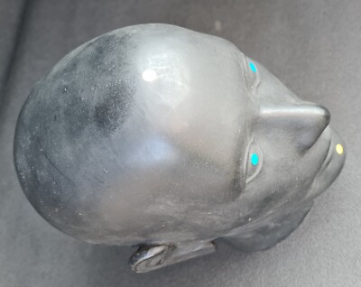 Röntgenphantom Kopf mit Halswirbeln, opak Röntgen Prüfkörper Test Phantom X-Ray