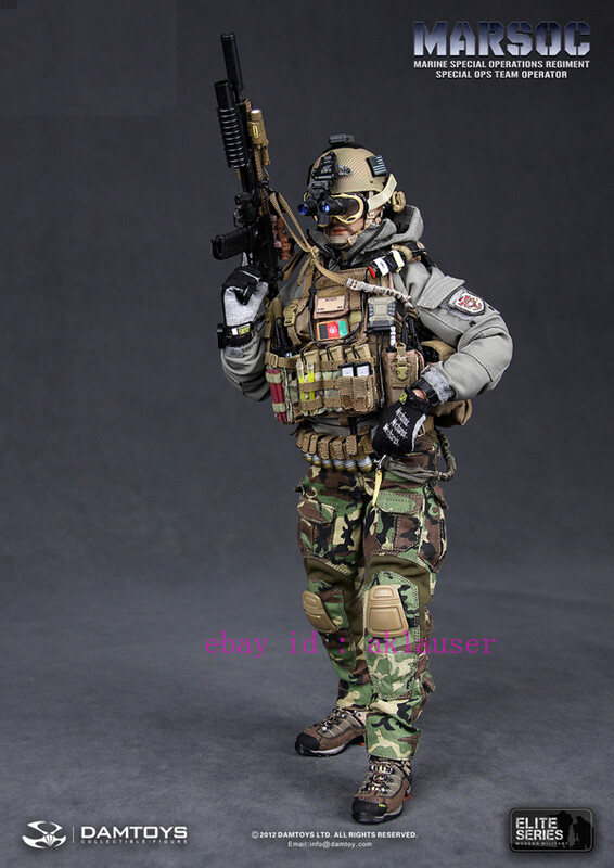 Damtoys Dam78007 1/6 Marsoc Marine Special Operations Regiment
