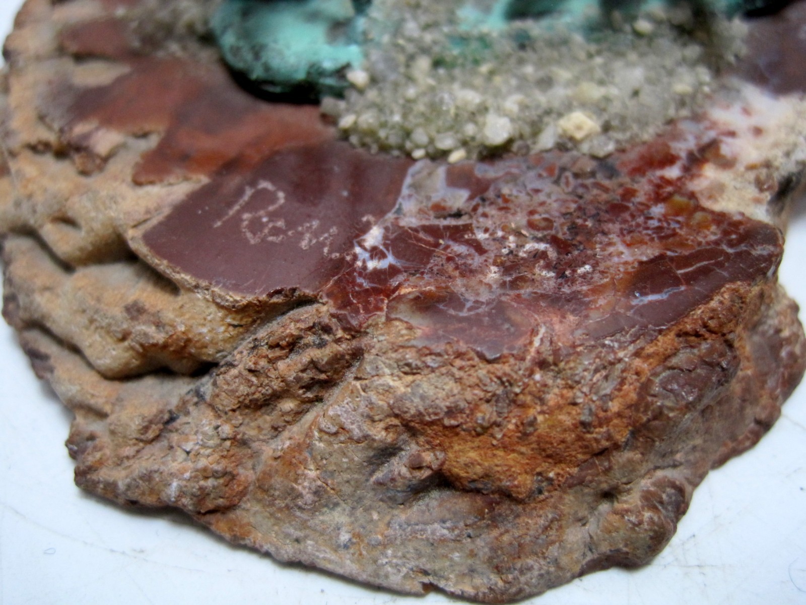 VTG 1970's Bronze Sculpture “Sandpiper" By Ronl Limited Ed #96/100