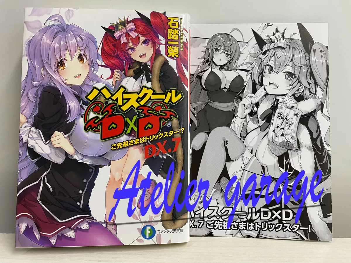 High School DxD DX.7 + Extra leaflet Set Japanese Novel Ichiei Ishibumi D×D