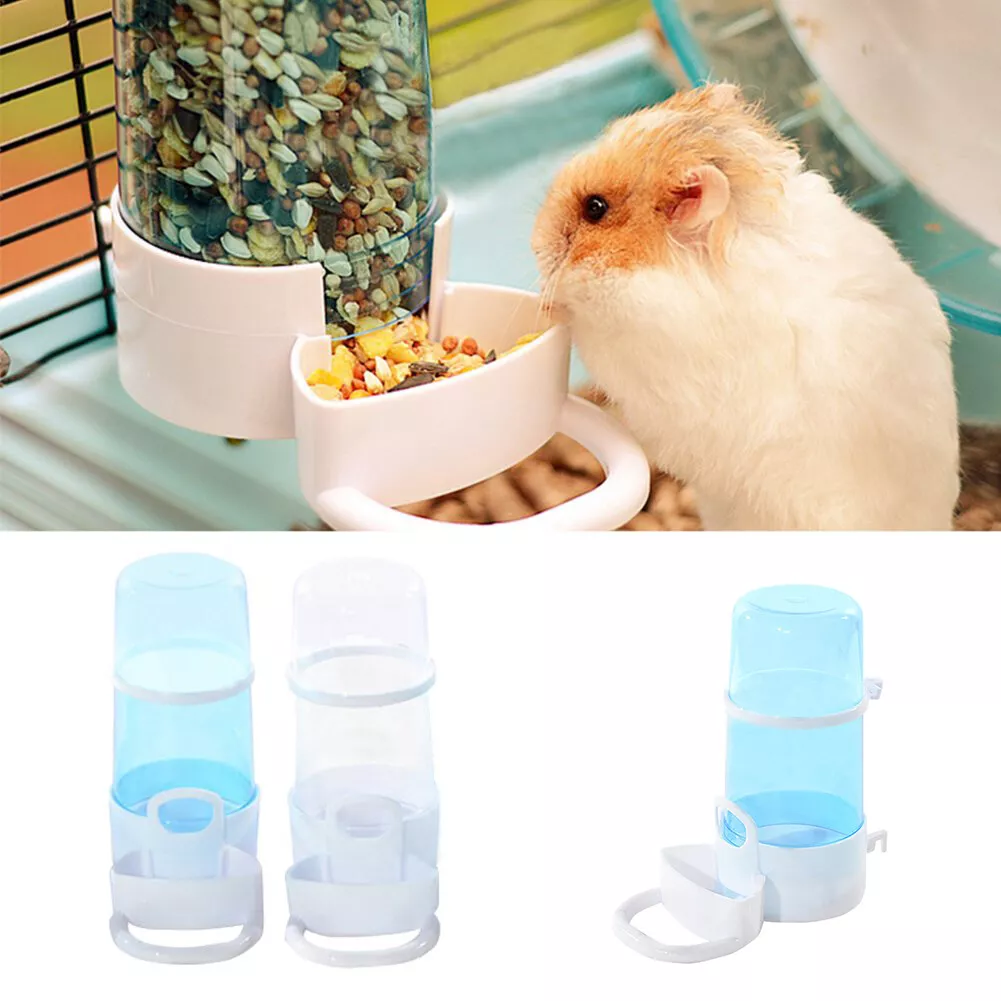 Guinea pig cheap auto feeder