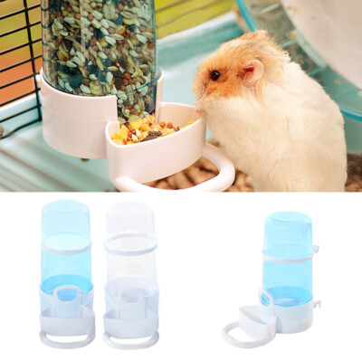 hamster auto feeder