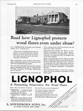 1929 Print Ad  Spring Valley NY High School * Molly Stark Hospital Louisville OH