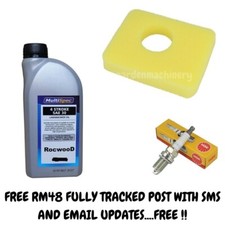 Briggs & Stratton Service Kit 300E 450E 500E 550E 550EX 575EX 600E series, Oil