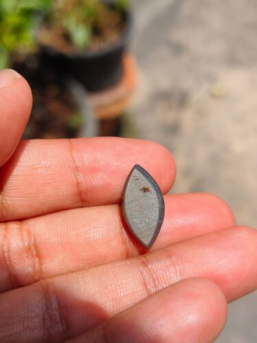 ATTRACTIVE 9.16 Cts RARE NO HEAT BLACK STAR SAPPHIRE OF MARQUISE SHAPE 6 RAYS ☀️ - Picture 8 of 8