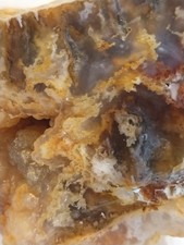 Graveyard Point Plume Agate Rough for cabbing/slabbing, great coloring, 2.95 LBS