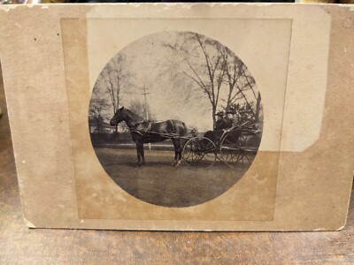 Circa 1900 outdoor photograph 2 women in carriage drawn by beautiful black horse