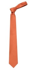 Men's Rust Solid Satin Plain Classic Necktie Tie Wedding Formals - NWT