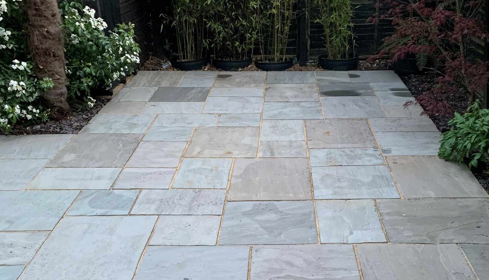 Best Patio Cleaner ACID FREE Easy Cleaning of Paving Slab Black Spot