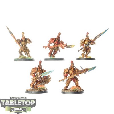 Adeptus Custodes - 5 Custodian Guard - teilweise bemalt