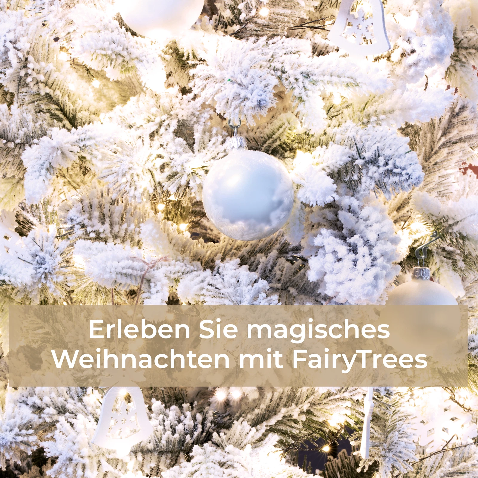 Bild 52 von 54