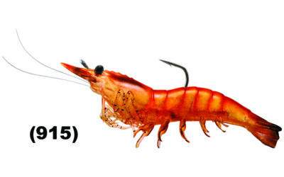 Live Target Shrimp Pre Rigged Soft Plastics Lure Any SSF75SK SSF100SK 4pk Lures
