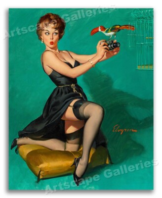 1960's Elvgren Bird Pin-Up Poster ''Ruffled Feathers'' - 16x20