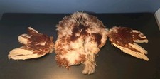 Echtes Huhn Hahn Ganzes Fell Fliegenbinden Angeln Mehrfarbig Braun Weiß Schwarz